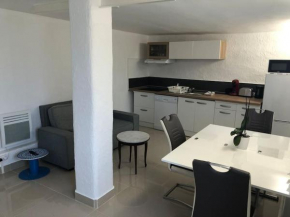 Appartement totalement rénové avec un beau jardin